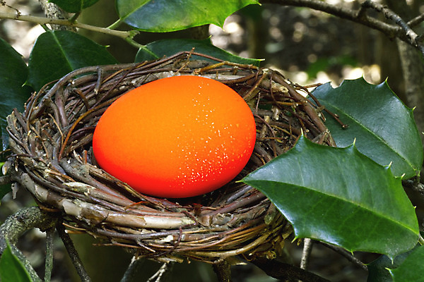포토 JPG 해외이미지 경고 사람없음 빨간색 경제 고통 저축 뜨거움 위험 가난 은퇴 실업 보안 빚 깨짐 해외202004 해외포토 감정 컬러 컨셉 비즈니스 안전 금융 파일형식 이미지허브