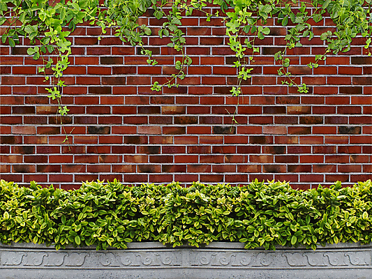 포토 JPG 해외이미지 나무 식물 디자인 외관 벽 백그라운드 패턴 오렌지 자연 표면 벽돌 사람없음 장식 초록색 갈색 블록 냄비 타일 묘사 질감 아이비 내추럴 그런지 옛날 해외202004 해외포토 컬러 무늬 과일 솥 생태계 파일형식 이미지허브