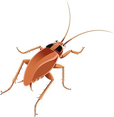 EPS 해외이미지 동물 캐릭터 디자인 응시 행복 야생동물 곤충 백그라운드 날개 일러스트 자연 안테나 미술 그래픽 갈색 흰색 해충 벌레 지저분함 작음 만화 딱정벌레 심볼 콧수염 오브젝트 사인 그림 생물학 클립 코믹 공상 고립 해외202004 해외일러스트 일러캐릭터 시선 교육 감정 컬러 통신 문화예술 수염 감각 크기 생태계 파일형식 벡터 이미지허브