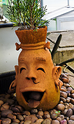 포토 JPG 해외이미지 식물 행복 화분 얼굴 미소 사람없음 꽃병 기쁨 냄비 점토 암초 해외202004 해외포토 꽃 감정 표정 신체부위 솥 파일형식 이미지허브