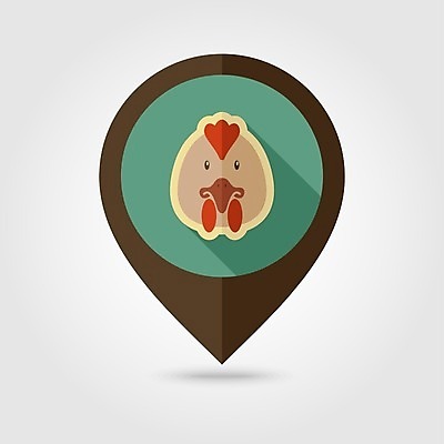 JPG EPS 해외이미지 한마리 일러스트 사람없음 농장 위치 수탉 해외202004 해외일러스트 1 농업 닭 수컷 파일형식 벡터 이미지허브