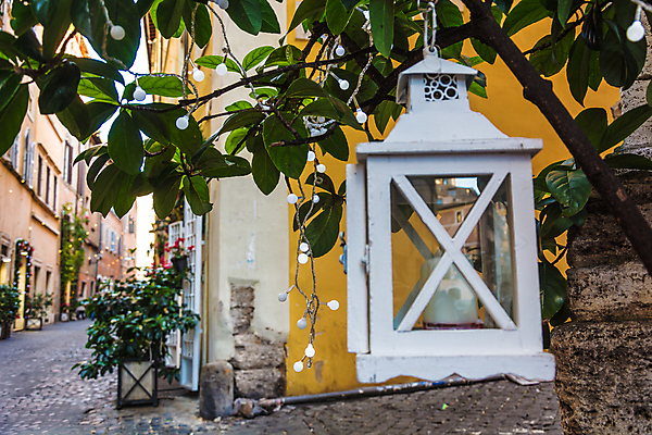 포토 JPG 해외이미지 식물 잎 크리스마스 겨울 창문 유리 휴식 전등 거리 사람없음 야외 목재 장식 초록색 빛 우주 축제 장비 수확 골동품 시골 등불 램프 역사 야간 오브젝트 복고 부드러움 구식 왁스 스타일 해외202004 해외포토 자연요소 나무 계절 기념일 컬러 컨셉 농업 재료 재질 조명 감각 파일형식 이미지허브