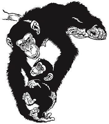 EPS 해외이미지 동물 척추동물 야생동물 일러스트 포유류 생물 흑백 원숭이 아기 잡기 황무지 조심 유인원 침팬지 돌봄 동물상 지능 해외202004 해외일러스트 모션 촬영기법 사람 조형물 파일형식 벡터 이미지허브