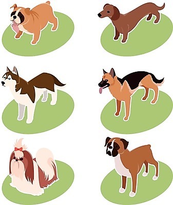 EPS 해외이미지 동물 캐릭터 디자인 행복 백그라운드 일러스트 포유류 자연 그래픽 반려동물 세트 컬러풀 흰색 양치기 개 강아지 만화 닥스훈트 테리어 수집 심볼 푸들 불독 송곳니 고립 기르기 마스코트 유래 해외202004 해외일러스트 일러캐릭터 직업 감정 컬러 치아 생태계 돌봄 파일형식 벡터 이미지허브