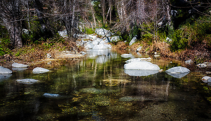 포토 JPG 해외이미지 자연 풍경 사람없음 야외 물 강 컬러풀 흐름 개울 숲 캘리포니아 로스앤젤레스 해외202004 해외포토 자연요소 컬러 컨셉 미국 생태계 파일형식 이미지허브