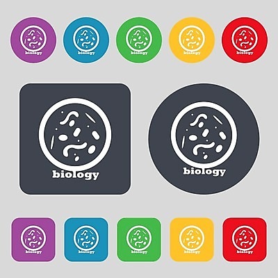 EPS 해외이미지 디자인 과학 백그라운드 패턴 일러스트 추상 생물 세포 건강 사람 세트 약 고통 바이러스 질병 심볼 사인 생물학 감염 미생물 암 박테리아 고립 곰팡이 전염병 해외202004 해외일러스트 교육 감정 무늬 의학 파일형식 벡터 이미지허브