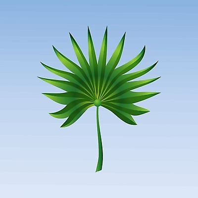 EPS 해외이미지 나무 식물 디자인 실루엣 백그라운드 잎 꽃무늬 일러스트 태국 자연 휴가 바나나 손바닥 미술 그래픽 장식 초록색 여름 세트 검은색 봄 수확 흰색 나뭇가지 숲 인쇄 수집 심볼 그림 질감 하와이 캘리포니아 브라질 내추럴 고립 엘리먼트 이국적 파라다이스 해외202004 해외일러스트 손 계절 꽃 아시아 컬러 무늬 농업 과일 문화예술 촬영기법 미국 남아메리카 생태계 파일형식 벡터 이미지허브