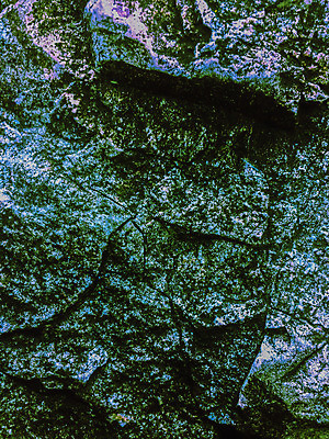 포토 JPG 해외이미지 디자인 벽 백그라운드 패턴 건축양식 자연 표면 날씨 추상 사람없음 빨간색 갈색 노란색 검은색 회색 에너지 수확 골동품 바위 흰색 거친 닫기 낟알 타일 묘사 질감 복고 대리석 화석 내추럴 광부 고체 구식 그런지 옛날 지질학 화강암 해외202004 해외포토 직업 교육 건축 컬러 무늬 농업 재료 모션 암석 돌_바위 생태계 파일형식 이미지허브