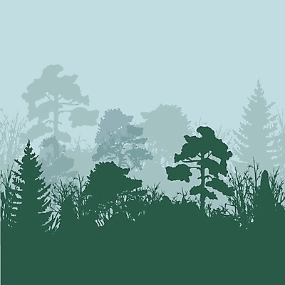 EPS 해외이미지 모양 나무 식물 디자인 실루엣 줄기 백그라운드 잎 꽃무늬 패턴 일러스트 자연 미술 그래픽 장식 초록색 검은색 성장 흰색 나뭇가지 소나무 화려 고독 숲 큼 버드나무 오브젝트 윤곽 멀리 전나무 자작나무 고립 미루나무 엘리먼트 재 가문비나무 해외202004 해외일러스트 꽃 감정 컬러 컨셉 무늬 문화예술 촬영기법 크기 생태계 파일형식 벡터 이미지허브