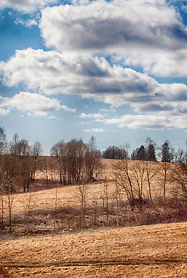 포토 JPG 해외이미지 나무 식물 구름 백그라운드 밭 자연 하늘 풍경 사람없음 야외 세로 파란색 빛 갈색 환경 봄 가을 흰색 시골 에코 내추럴 해외202004 해외포토 자연요소 계절 컬러 농업 생태계 파일형식 이미지허브