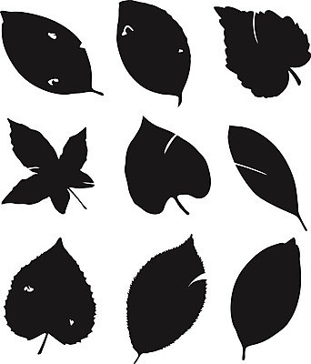 EPS 해외이미지 모양 식물 디자인 계절 꽃잎 실루엣 백그라운드 잎 꽃무늬 패턴 일러스트 자연 벽지 추상 미술 그래픽 장식 초록색 파란색 컬러풀 봄 수확 직물 화려 우아함 그림 질감 내추럴 떠남 엘리먼트 스타일 해외202004 해외일러스트 꽃 컬러 컨셉 무늬 농업 모션 문화예술 촬영기법 생태계 파일형식 벡터 이미지허브