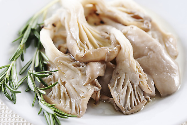 포토 JPG 해외이미지 라이프스타일 접시 음료 음식 백그라운드 잎 다이어트 채소 치즈 건강 요리 동양인 사람없음 세로 식당 식사 저녁식사 중국 버섯 이탈리아 튀김 굴 흰색 신선 고급 맛 먹기 슛 로즈메리 점심식사 고립 곰팡이 채식주의자 스타일 해외202004 해외포토 식물 식기 유럽 아시아 컬러 컨셉 모션 어패류 유제품 인종 생활 상점 허브 채식 파일형식 이미지허브