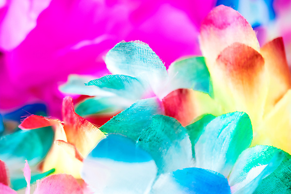 포토 JPG 해외이미지 식물 꽃잎 꽃 분홍색 꽃다발 꽃무늬 자연 휴가 사람없음 장식 빨간색 초록색 노란색 정원 보라색 봄 튤립 벚꽃 신선 난초 하와이인 해외202004 해외포토 외국인 계절 컬러 무늬 생태계 파일형식 이미지허브