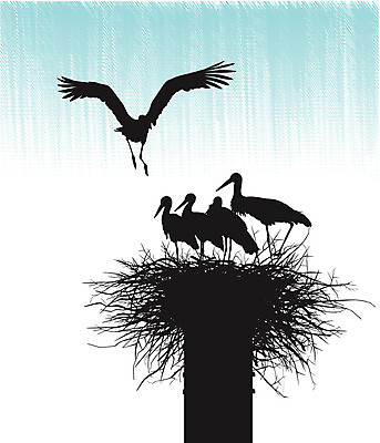 EPS 해외이미지 백그라운드 일러스트 가족 검은색 둥지 기아 수유 황새 해외202004 해외일러스트 컬러 관계 조류 사회이슈 파일형식 벡터 이미지허브