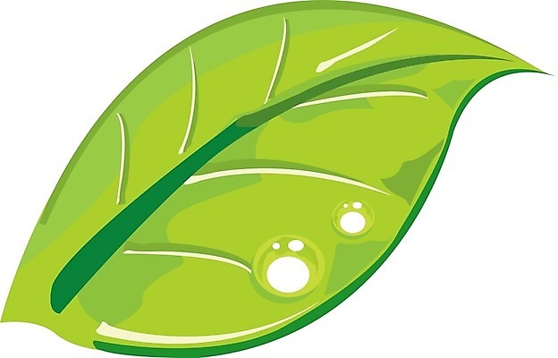 EPS 해외이미지 식물 백그라운드 컨셉 잎 일러스트 자연 주택 아이디어 3 초록색 물 바구니 환경 디지털 재활용 쓰레기통 흰색 원형 캔 보호 쓰레기 이슬 작음 버리기 심볼 오브젝트 그림 발생 생태학 폐휴지 많음 해외202004 해외일러스트 자연요소 도형 교육 컬러 모션 건물 화장지 크기 친환경 생태계 파일형식 벡터 이미지허브