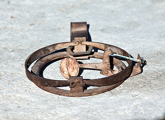 포토 JPG 해외이미지 응시 컨셉 경고 사람없음 금속 손상 견과류 수확 흰색 잡기 오픈 위험 철 오브젝트 부식 호두 클릭 조심 올가미 턱 고립 옛날 주목 해외202004 해외포토 시선 컬러 농업 모션 재질 파일형식 이미지허브