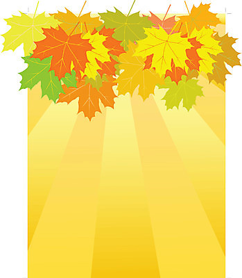 EPS 해외이미지 모양 디자인 계절 꽃 실루엣 백그라운드 단풍 잎 패턴 곡선 오렌지 일러스트 자연 바람 날씨 추상 미술 장식 빨간색 태양 노란색 성장 가을 떨어짐 그림 해외202004 해외일러스트 자연요소 식물 선 컬러 컨셉 무늬 과일 문화예술 촬영기법 생태계 파일형식 벡터 이미지허브