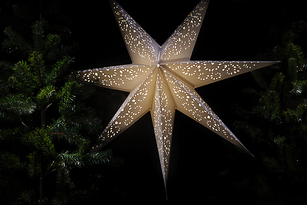 포토 JPG 해외이미지 모양 나무 디자인 계절 별 백그라운드 크리스마스장식 크리스마스 겨울 추상 휴가 전등 새로움 미술 사람없음 장식 빛 반짝임 노란색 검은색 축제 어둠 공백 흰색 축하 황금 연도 오브젝트 보케 심플 광택 마법 광 블러 엘리먼트 해외202004 해외포토 자연요소 식물 기념일 컬러 컨셉 무늬 모션 문화예술 조명 파일형식 이미지허브