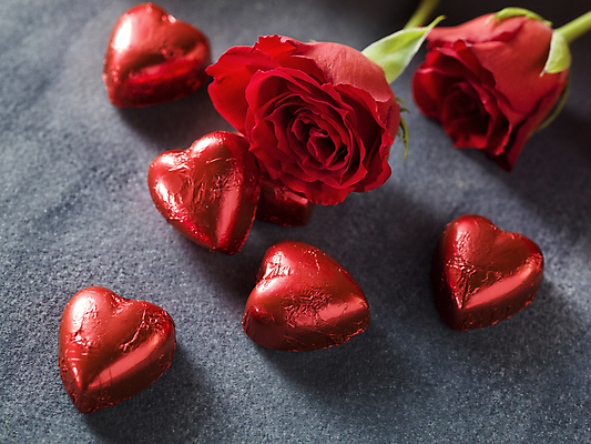 포토 JPG 해외이미지 회색배경 발렌타인데이 사람없음 빨간색 하이앵글 장미 초콜릿 하트 오브젝트 해외포토 모양 꽃 뷰포인트 컬러 백그라운드 데이이벤트 디저트 회색 파일형식 이미지허브