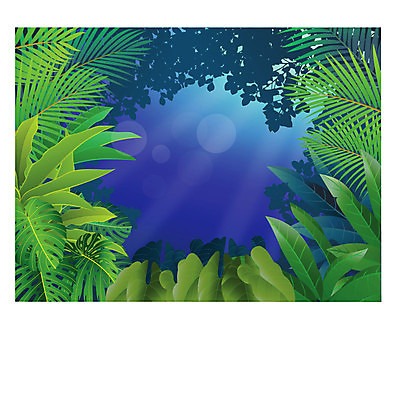 EPS 해외이미지 나무 식물 계절 꽃 야생동물 백그라운드 잎 일러스트 자연 아침 프레임 손바닥 풍경 야외 목재 초록색 여름 파란색 태양 환경 봄 야간 숲 신비 열대우림 천국 내추럴 아마존 히비스커스 해외202004 해외일러스트 주간 자연요소 동물 손 컬러 컨셉 재료 생태계 파일형식 벡터 이미지허브