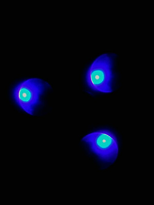 포토 JPG 해외이미지 디자인 음악 파도 분홍색 백그라운드 오렌지 모션 그래프 추상 미술 사람없음 그래픽 파란색 빛 반사 디지털 검은색 힘 소리 에너지 춤 원형 액체 야간 클럽 질감 디스코 전자 네온 청록색 마법 뮤지컬 효과 해외202004 해외포토 자연요소 도형 바다 컬러 무늬 과일 문화예술 파일형식 이미지허브