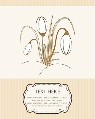 EPS 해외이미지 식물 디자인 계절 공원 꽃잎 꽃 백그라운드 겨울 꽃무늬 일러스트 자연 날씨 부활절 미술 야외 초록색 햇빛 정원 냉동 얼음 봄 추위 성장 흰색 4월 제비꽃 순수 서리 헌병 해외202004 해외일러스트 자연요소 공공시설 기념일 컬러 컨셉 무늬 문화예술 태양 군인 날짜 생태계 파일형식 벡터 이미지허브