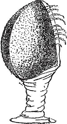 EPS 해외이미지 동물 바다 과학 패턴 절지류 일러스트 생물 갑각류 미술 검은색 수확 골동품 성장 흰색 그림 생물학 화석 고생물 판화 옛날 해외202004 해외일러스트 교육 컬러 무늬 농업 문화예술 파일형식 벡터 이미지허브