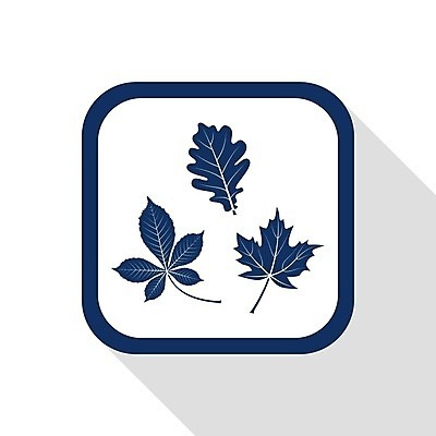 EPS 해외이미지 나무 식물 디자인 계절 종이 줄기 백그라운드 스티커 잎 인터넷 일러스트 비즈니스 자연 그림자 장식 픽토그램 꼬리표 라벨 세일 웹 가을 흰색 원형 신용카드 모서리 가격 9월 수집 심볼 오브젝트 흔적 사인 상업 심플 승진 정맥 10월 내추럴 고립 해외202004 해외일러스트 도형 컬러 프레임 금융 날짜 생태계 혈관 파일형식 벡터 이미지허브