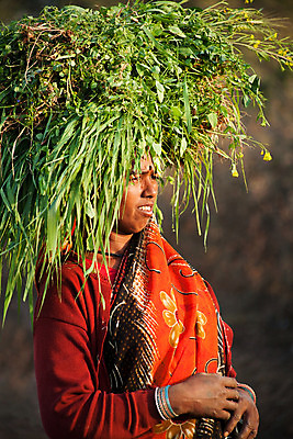 포토 JPG 해외이미지 여자 행복 도로 노동자 거리 스트레스 한명 사람 풍경 초록색 걷기 마을 산책 시골 작업 볏짚 농부 몸무게 가난 인도인 통로 무거움 일반 적재 부족 밭일 특별함 해외202004 해외포토 외국인 직업 1 감정 길 컬러 컨셉 교통시설 모션 휴식 동양인 무게 짚 파일형식 이미지허브