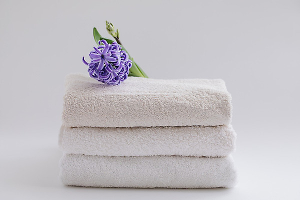 포토 JPG 해외이미지 여행 백그라운드 신체 호텔 주택 건조 건강 사람없음 세트 수건 노란색 쌓기 스파 목욕 욕실 흰색 직물 마사지 면 씻기 빨래 정상 매끈함 가루 제비꽃 향수 질감 부드러움 비누 솜털 내추럴 고립 돌봄 샤워실 위생관리 자외선 히아신스 해외202004 해외포토 꽃 컬러 가사 모션 숙소 관리 건물 위생용품 청결 화장품 감각 샤워시설 파일형식 이미지허브