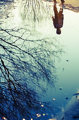 포토 JPG 해외이미지 나무 식물 계절 남자 호수 잎 패턴 오렌지 자연 추상 사람 소년 사람없음 야외 물 반사 활발 성장 가을 나뭇가지 연못 숲 9월 11월 당구 질감 마법 10월 강렬 얇은 해외202004 해외포토 자연요소 어린이 컨셉 무늬 과일 구기 날짜 생태계 파일형식 이미지허브