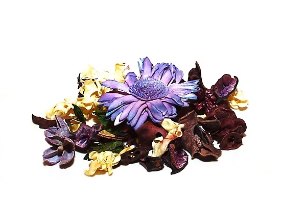 포토 JPG 해외이미지 식물 꽃잎 꽃 문화 분홍색 잎 재료 자연 건조 건강 씨앗 사람없음 빨간색 보라색 흰색 신선 양념 그룹 허브 향신료 유기농 거베라 아로마테라피 목련 고립 시나몬 줄서기 강황 해외202004 해외포토 웰빙 컬러 식재료 모션 생태계 테라피 향미료 파일형식 이미지허브