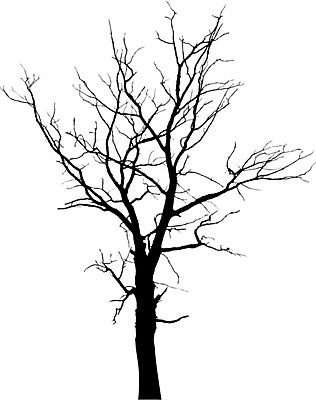 EPS 해외이미지 나무 식물 1 디자인 계절 실루엣 줄기 백그라운드 낙엽 일러스트 자연 추상 왕관 건조 야외 목재 환경 검은색 가을 흰색 나뭇가지 죽음 정상 숲 심볼 싱글 시들음 내추럴 고립 벌거벗은 엘리먼트 옛날 혼자 해외202004 해외일러스트 컬러 잎 무늬 재료 촬영기법 생태계 파일형식 벡터 이미지허브