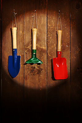 포토 JPG 해외이미지 식물 꽃 화분 백그라운드 농업 자연 취미 사람없음 세트 정원 흙 봄 장비 성장 공구 모종삽 삽 오브젝트 원예 갈퀴 돌봄 심기 해외202004 해외포토 계절 산업 모션 도구 생태계 파일형식 이미지허브