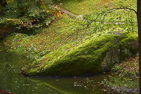 포토 JPG 해외이미지 나무 식물 여행 잎 오렌지 모션 자연 산 이끼 풍경 사람없음 초록색 물 강 봄 흐름 가을 바위 신선 시간 투명 개울 황무지 소프트포커스 숲 귓속말 순수 상쾌 지역 스플래쉬 해외202004 해외포토 자연요소 계절 감정 컬러 컨셉 과일 촬영기법 돌_바위 생태계 파일형식 이미지허브