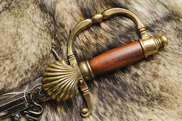 포토 JPG 해외이미지 무기 백그라운드 패턴 자연 표면 추상 털 손잡이 사람없음 금속 검은색 회색 수확 골동품 흰색 화려 중세 역사 가장자리 고급 수집 철 피부 묘사 질감 군용 싸움 날카로움 늑대 옛날 해외202004 해외포토 컬러 컨셉 무늬 농업 포유류 모션 재질 군대 신체부위 둘레 생태계 파일형식 이미지허브