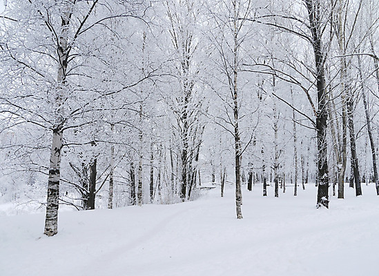 포토 JPG 해외이미지 나무 식물 계절 공원 여행 백그라운드 크리스마스 겨울 자연 하늘 동화 날씨 휴가 조명 새로움 산 주택 파노라마 풍경 사람없음 야외 목재 햇빛 태양 환경 냉동 얼음 추위 덮개 백발 흰색 정상 숲 연도 서리 러시아 전나무 눈보라 내추럴 산악지대 폭설 눈내림 해외202004 해외포토 자연요소 헤어스타일 공공시설 기념일 유럽 컬러 컨셉 재료 눈_날씨 촬영기법 건물 뚜껑 자연재해 생태계 파일형식 이미지허브