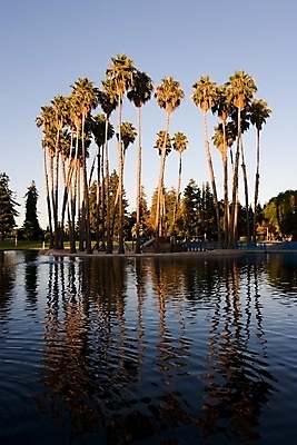 포토 JPG 해외이미지 나무 공원 자연 하늘 손바닥 풍경 사람없음 야외 물 여름 미국 침묵 일몰 연못 도시 당구 캘리포니아 타운 해외202004 해외포토 자연요소 식물 손 계절 공공시설 북아메리카 구기 노을 소리 생태계 파일형식 이미지허브