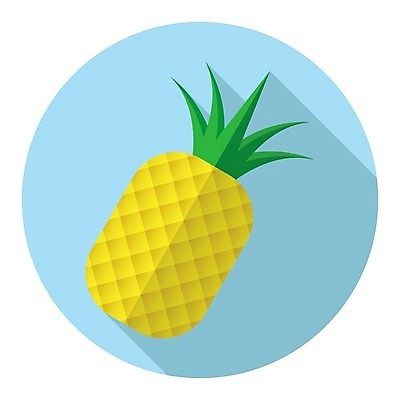EPS 해외이미지 일러스트 그림자 사람없음 원형 파인애플 해외202004 해외일러스트 도형 과일 열대과일 파일형식 벡터 이미지허브