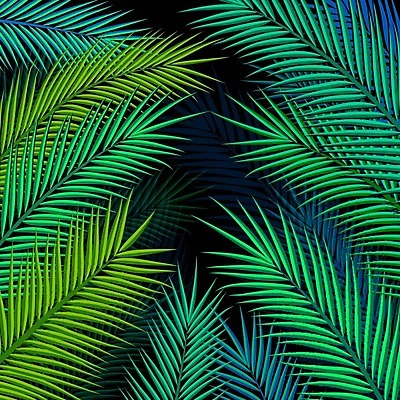 EPS 해외이미지 나무 식물 디자인 포스터 백그라운드 컨셉 잎 꽃무늬 패턴 일러스트 자연 벽지 추상 손바닥 야외 초록색 어둠 나뭇가지 신용카드 숲 인쇄 열대우림 휴양지 질감 남쪽 내추럴 이국적 파라다이스 스타일 해외202004 해외일러스트 손 꽃 컬러 무늬 금융 장소 방향 생태계 파일형식 벡터 이미지허브