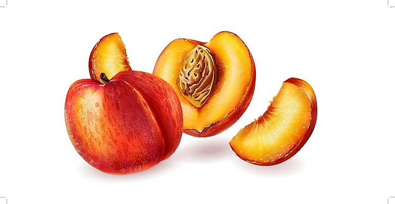 EPS 해외이미지 과일 일러스트 사람없음 복숭아 해외202004 해외일러스트 파일형식 벡터 이미지허브