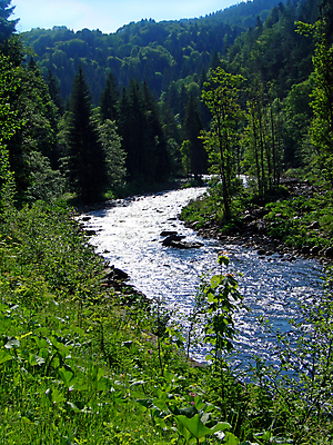 포토 JPG 해외이미지 나무 공원 호수 잎 모션 자연 산 이끼 풍경 사람없음 야외 초록색 물 강 평화 골짜기 봄 폭포 젖음 흐름 가을 바위 흰색 개울 떨어짐 매끈함 수증기 숲 시원함 체코 스플래쉬 해외202004 해외포토 자연요소 식물 계절 공공시설 유럽 컬러 컨셉 돌_바위 감각 생태계 파일형식 이미지허브