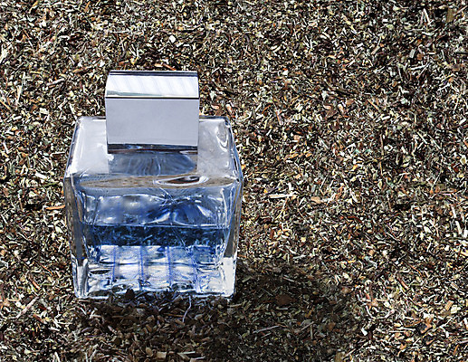 포토 JPG 해외이미지 식물 백그라운드 유리 건조 사람없음 투명 향수 수목 쾰른 해외202004 해외포토 재질 독일 화장품 파일형식 이미지허브