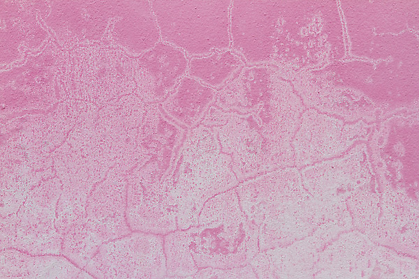 포토 JPG 해외이미지 템플릿 디자인 포스터 벽 백그라운드 날씨 추상 광고판 사람없음 그래픽 페인트 공백 손상 방 수확 골동품 덮개 시골 거친 떨어짐 고민 질감 복고 정사각형 캔버스 먼지 스크래치 찢어짐 나쁜 구식 그런지 옛날 스타일 해외202004 해외포토 도형 감정 컨셉 무늬 농업 모션 알림판 뚜껑 판 파일형식 이미지허브