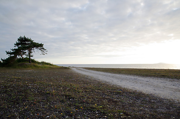 포토 JPG 해외이미지 나무 식물 구름 계절 공원 도로 길 바다 여행 백그라운드 자연 하늘 날씨 스웨덴 풍경 사람없음 야외 초록색 물 여름 파란색 태양 맑음 조약돌 바위 시골 소나무 황무지 오솔길 먼지 장면 방법 선로 수평선 해외202004 해외포토 자연요소 공공시설 컬러 교통시설 북유럽 돌_바위 생태계 파일형식 이미지허브