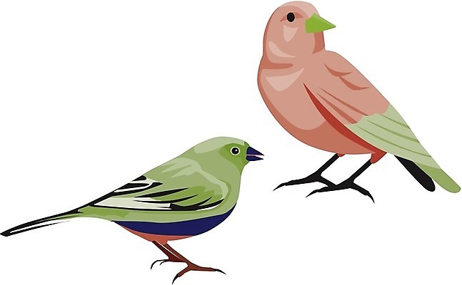 EPS 해외이미지 동물 디자인 야생동물 백그라운드 날개 일러스트 자연 벽지 조류 추상 미술 장식 수확 직물 변화 수집 그림 질감 복고 모음 엘리먼트 스타일 해외202004 해외일러스트 컨셉 무늬 농업 문화예술 한글 생태계 파일형식 벡터 이미지허브