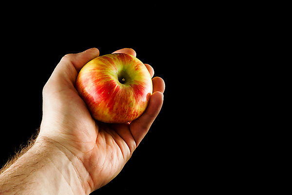 포토 JPG 해외이미지 식물 라이프스타일 손 계절 음식 다이어트 과일 재료 자연 건강 요리 사람 성인 사람없음 빨간색 컬러풀 환경 정원 검은색 식사 저녁식사 신선 맛 사과 먹기 유기농 날것 건강식 내추럴 고립 돌봄 숙성 해외202004 해외포토 웰빙 컬러 컨셉 모션 생활 신체부위 생태계 파일형식 이미지허브