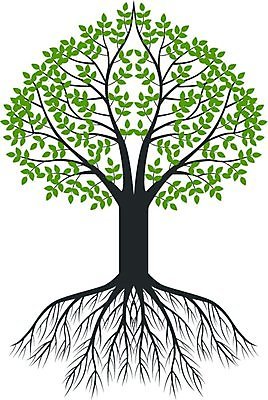 EPS 해외이미지 클립아트 모양 나무 식물 동물 디자인 꽃 실루엣 백그라운드 잎 꽃무늬 밭 일러스트 자연 추상 미술 풍경 목재 그래픽 장식 초록색 여름 환경 검은색 성장 흰색 나뭇가지 축하 숲 심볼 싱글 그림 조경 윤곽 자작나무 고립 생태학 해외202004 해외일러스트 계절 교육 컬러 컨셉 무늬 농업 재료 문화예술 촬영기법 생태계 파일형식 벡터 이미지허브