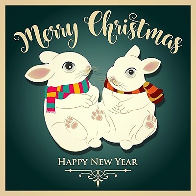 EPS 해외이미지 디자인 백그라운드 크리스마스 두마리 일러스트 크리스마스카드 사람없음 초록색 목도리 축하 토끼 해피뉴이어 레터링 크리스마스배경 해외202004 해외일러스트 잡화 기념일 컬러 컨셉 2 포유류 카드_감사 반려동물 새해인사 파일형식 벡터 이미지허브