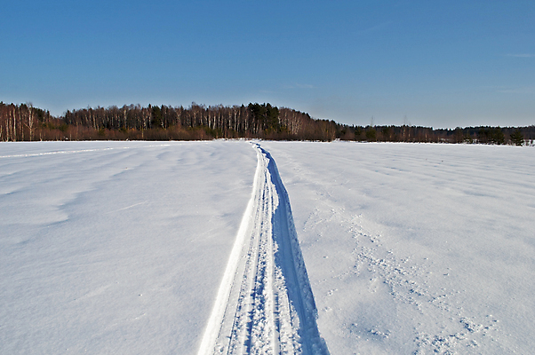 포토 JPG 해외이미지 나무 계절 여행 겨울 밭 자국 자연 하늘 날씨 풍경 사람없음 야외 목재 햇빛 침묵 산책 추위 흰색 시골 신선 숲 오솔길 서리 러시아 선로 자취 눈내림 겨울풍경 해외202004 해외포토 식물 유럽 길 컬러 농업 재료 휴식 눈_날씨 태양 소리 생태계 파일형식 이미지허브